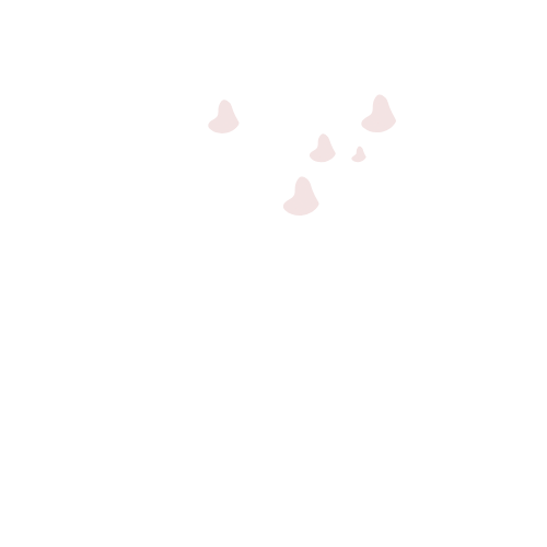 PoshGiftstore